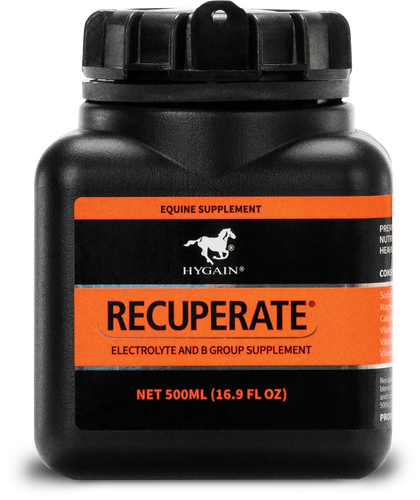 Hygain® Horse Supplements Recuperate®