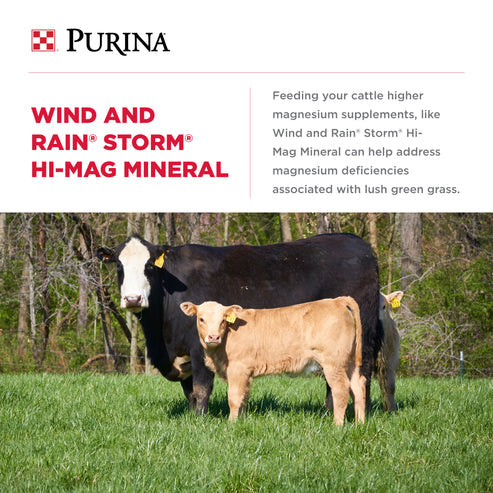 Purina® Wind & Rain® Storm® Hi-Mag 4 Complete Cattle Mineral (50 lb)