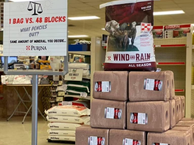 Store grouping of Wind & Rain Cattle Mineral blocks and bags