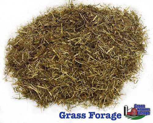 Green Meadows Grass Forage (50 LB)