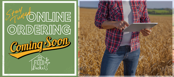 Farmer in a wheat field texting on a pad utilizing Feed Bucket's Online Ordering Service in Simpsonville, KY