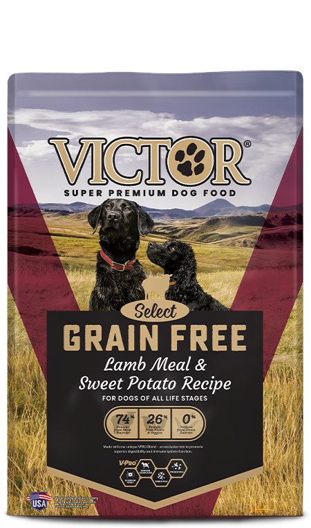 Victor Grain Free Lamb Meal & Sweet Potato Recipe Dry Dog Food (30 lb)
