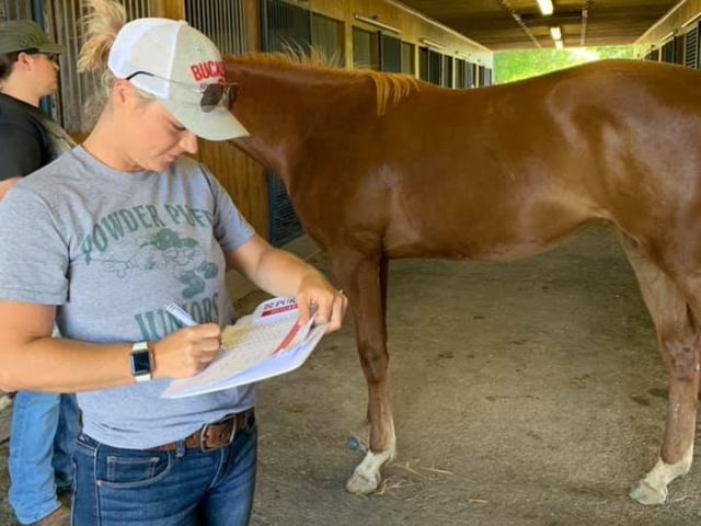 Woman marking  dimension and remarks on a chart for nutritional consulting for Feed Bucket, Simpsonville, KY