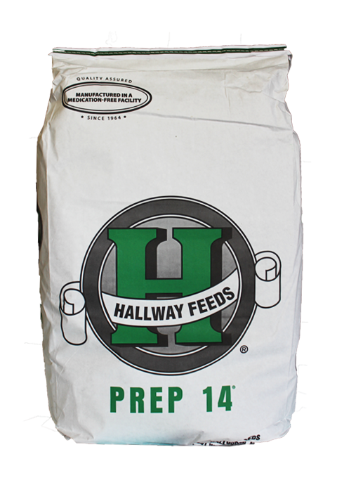 Hallway Prep 14® Horse Feed