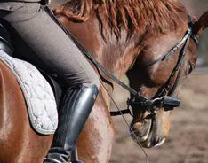 Excel Equine Triplify