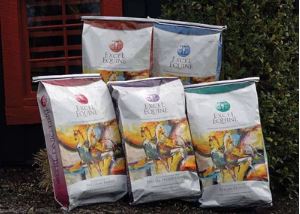 Excel Equine Animate®