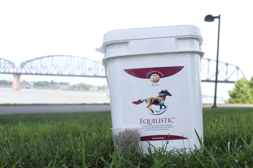 Excel Equine Equilistic®