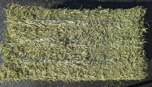 Pure 3 Tie Western Alfalfa