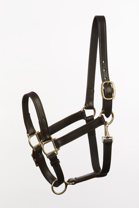 Kentucky Handcrafted Two Year Old Size Turnout Halter Throat Snap