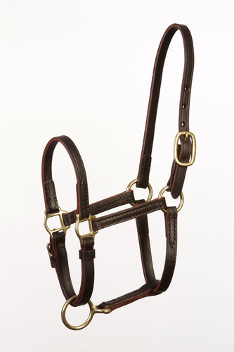 Kentucky Handcrafted Small Foal Size Turnout Halter - Adjustable Chin