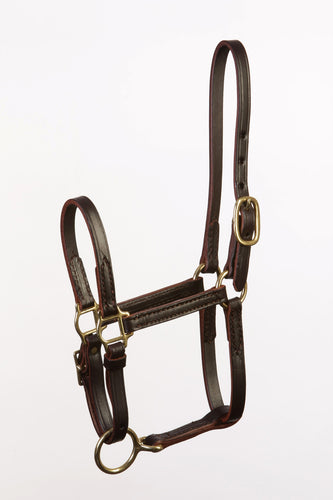 Kentucky Handcrafted Large Foal Size Turnout Halter - Adjustable Chin