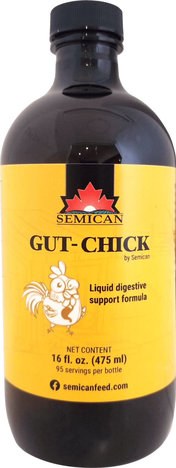 Semican Gut-Chick Liquid Digestive Support Formula