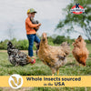 Kalmbach Feeds Henhouse Reserve Love Bug™ for Chickens and Poultry