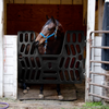 Horseman's Pride Plastic Stall Gates with Yoke (Black)