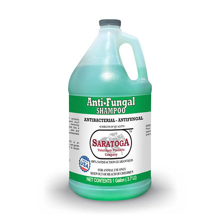 Saratoga Anti-Fungal Shampoo - Antibacterial Antifungal (1 Gallon / 3.7 Lt / 128 oz)