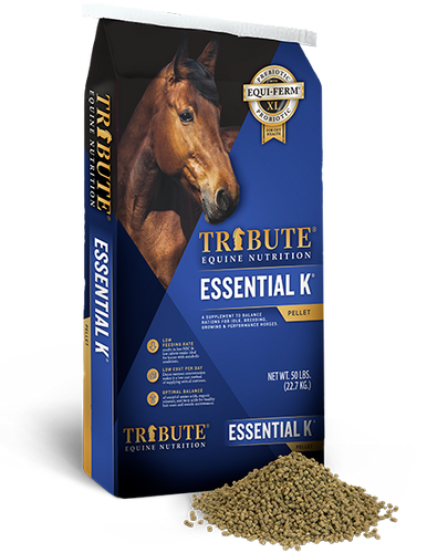 Tribute Essential K®