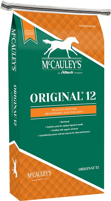 McCauley's Original® 12 Cube