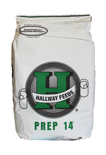 Hallway Prep 14® Horse Feed