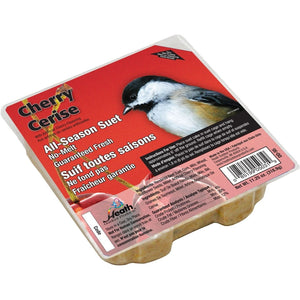 ALL SEASON CHERRY SUET